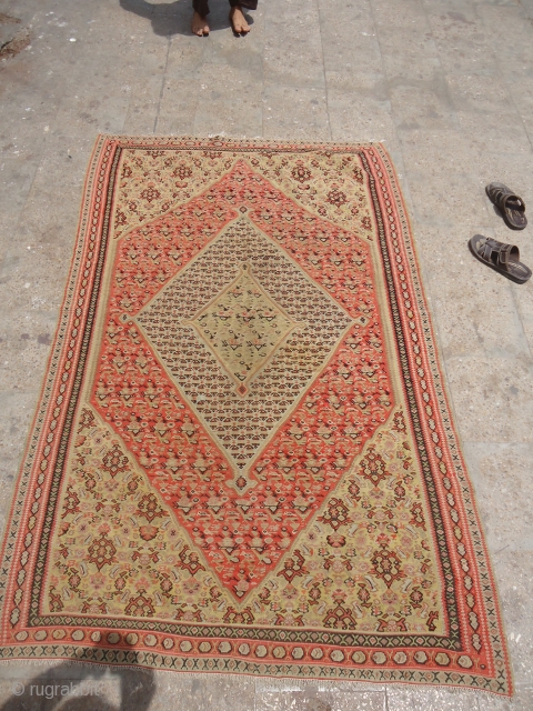 Finely woven Senneh Kilim with beautiful desigen,shrub desigen in the middle diamond,nice birds,nicely drwan,good colors and condition,some old restoration.Size 6'7"*4'3".E.mail for more info and pics.        