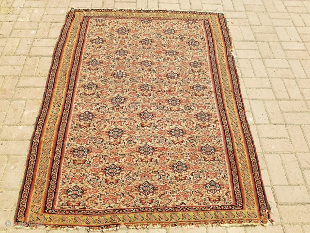 Senneh Kilim with wool threads and wefts,all 100 % wool, good design and colors,beautiful yellow Paiseley border,fine weave.Size 5'11"*4'7".E.mail for more info and pics.         
