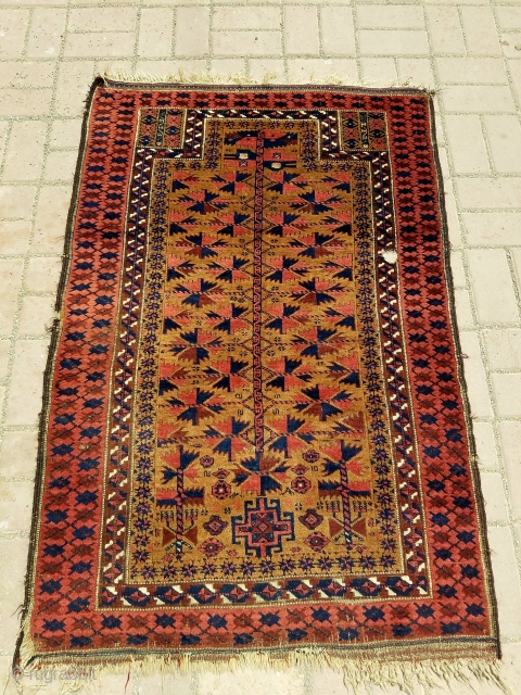 Camel ground Baluch Prayer Rug with silk highlights and beautiful border,soft shiny wool,all natural colors,very fine weave,kilim endings,all original without any work done.Size 4'4"*2'11".E.mail for more info and pics.    