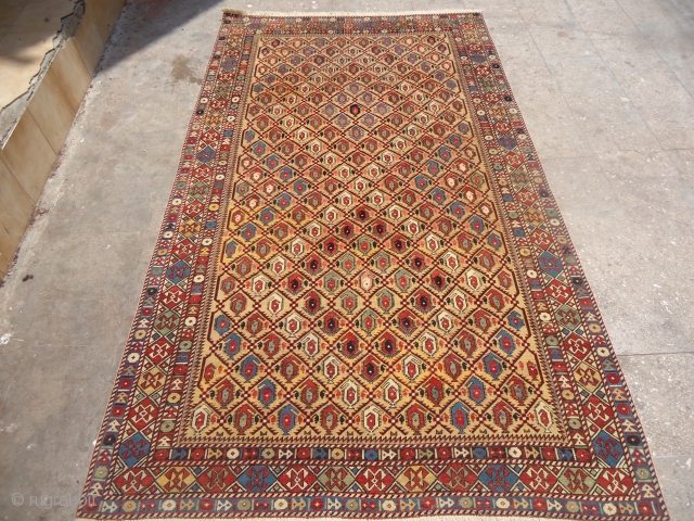 Yellow Ground Large Marsali Shirvan Rug,Rare yellow ground and big size,extra fine weave,beautiful colors,very nice desigen.Some old restorations done.Size 8'10"*5'6".E.mail for more info and pics.        