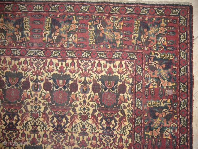 Afshar Rug superb Dolls and birds motif,good conidition,nice colours and beautiful dsigen,wool on cotton,Size 60*50 inches.Hand washed.                