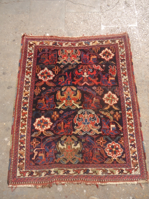 Afshar Rug with great natural colors,and very beautiful design,fine weave,all original without any repair or work done.Both ends have tiny kilim.Size 3'2"*3'.E.mail for more info and pics.      