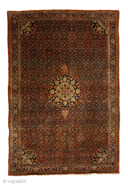 Exceptionally Fine Antique Bidjar Rug

Circa 1890,
Persian Kurdistan,
Wool on Cotton Foundation,
Size 2.00m x 1.45m,


Bidjar rugs have been variously described as being amongst the hardest wearing carpets from Central Asia, popularly being known as  ...