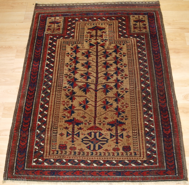 Antique Baluch camel ground prayer rug a design that is typical of the Sarakhs Baluch of Khorasan. 

Late 19th century.

Size: 3ft 10in x 2ft 10in (117 x 86cm).

The rug is beautifully drawn  ...