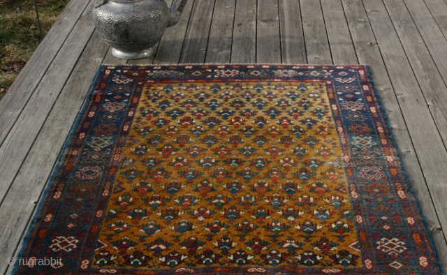 (43) Daghestan/Derbent rug, early 20th c., 121 x 156 cm., high pile overall, nice abrash and very silky wool, floppy but robust handle. Offers warm and comfortable utility with dignity. A VERY  ...