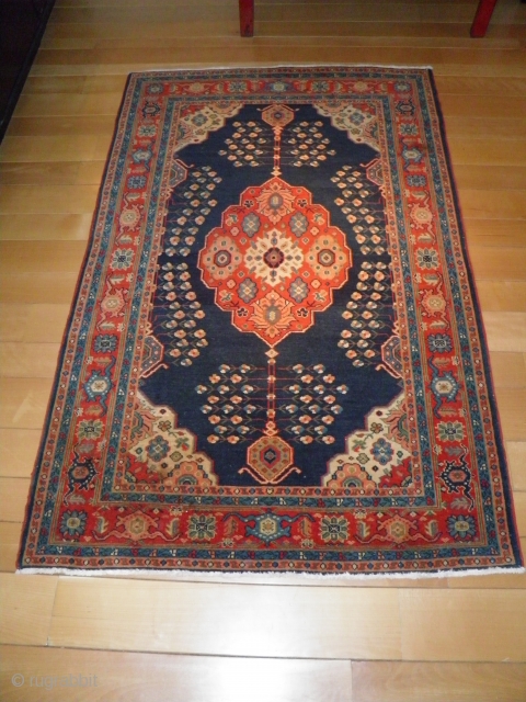 Afshar rug c.1880 140x180cm perfect condition                           