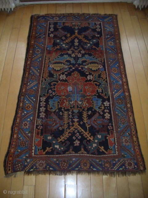 NWP Bakhtiari rug c.1875-1900 145x232 cm good condition                         