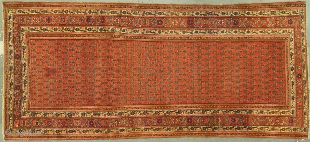 Persian Malayer Saraband, c. 1920. 4½ x 9½ ft (140 x 290 cm), some fraying at end.
                