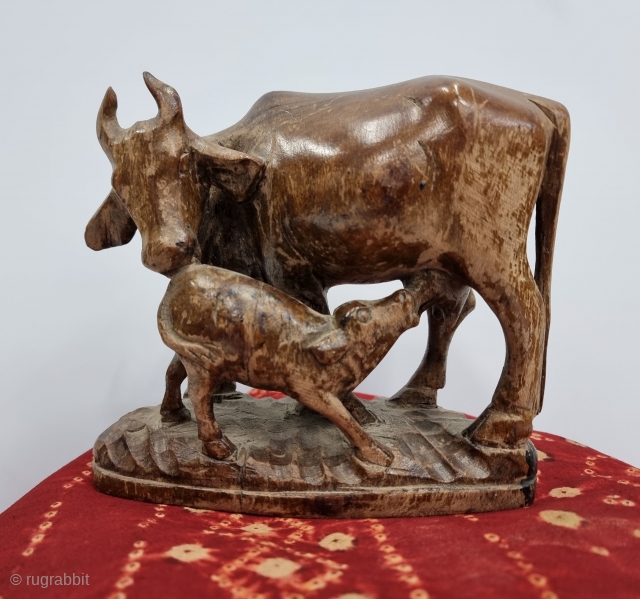 Very Unique Wooden Kamadhenu Cow,  the wish fulfilling cow of plenty with her calf. From Maharashtra.India.
According to the Puranas all the cattle in the world are descended from Kamadhenu, also called  ...