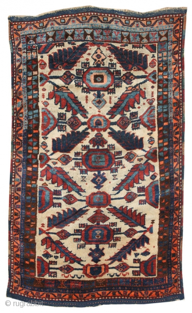 Eastern Anatolian Kurdish rug; circa 1920; excellent conditions; 3'1" x 6'2"; shaggy pile; vibrant colors - all natural dyes: ID JF4279            
