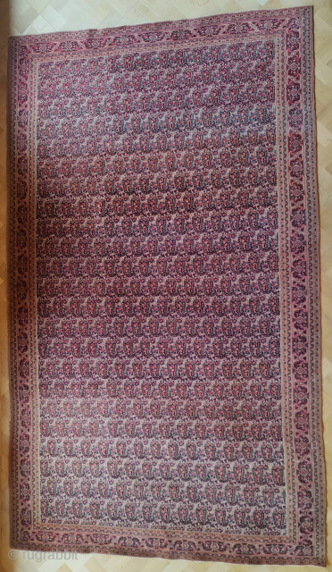 Antique doroshsk, 1880/1910
Great condition. No repairs.
270x165. 
Amazing density. Smooth like blanket
120knots per square centimeters
+33611593013                   