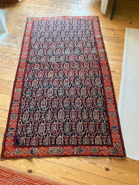 Antique mishan malayer 160x90cm.
End of 19th. Full pile. 
Great vegetable colors. Natural orange and pink dyes.
                 