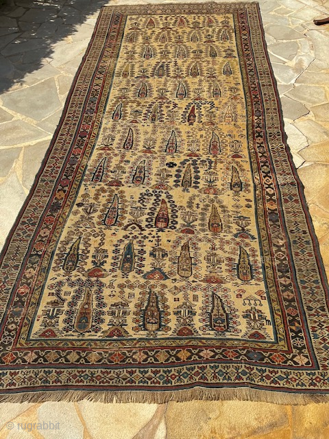 Runner Chirvan 308 x 126
Contact via WhatsApp : +33 (0) 614362146