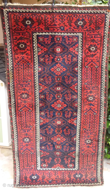 Belouch from Khorasan, with animals.
Contact via WhatsApp : +33 (0) 614362146
                      