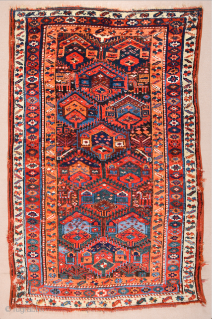 This Middle of the 19th Century Kurdish rug was woven in the mountainous region surrounding Lake Urmia. Items of this kind are known as “Sauj Bulag”, a name that derives from their  ...
