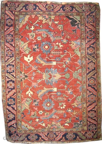Serapi Heriz Persian circa 1910 antique. Size: 208 x 151 (cm) 6' 10" x 4' 11"  carpet ID: K-5631
Vegetable dyes, the black color is oxidized, the knots are hand spun wool,  ...