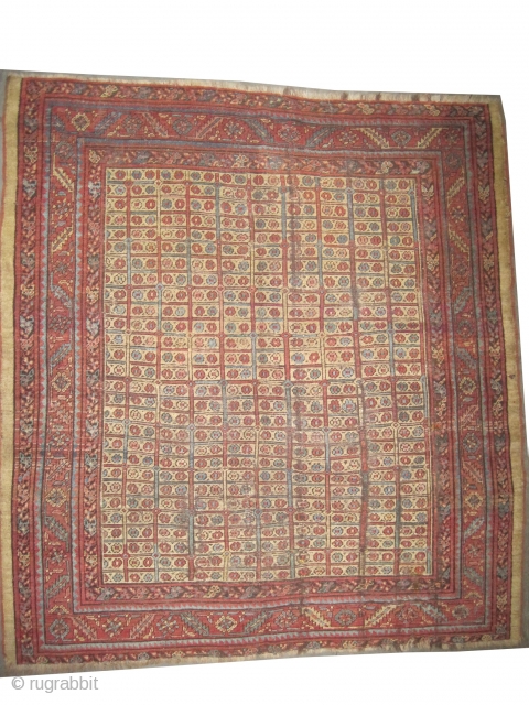 	

Bakshaish Heriz Persian antique.  Size: 186 x 171 (cm) 6' 1" x 5' 7"  carpet ID: P-3112
Vegetable dyes, the warp and the weft threads are 100% wool, the black colour  ...