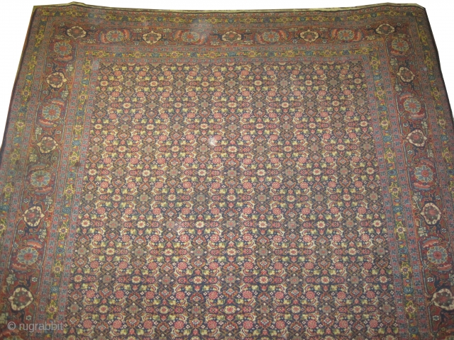 
 	

Senneh Persian, knotted circa in 1915, 365 x 262 (cm) 12'  x 8' 7"  carpet ID: P-12
The black knots are oxidized, the knots are hand spun lamb wool, the  ...