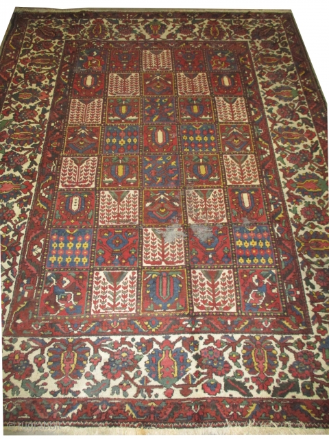 Baktiar Persian, knotted circa 1922 antique, 275 x 355 cm, carpet ID: P-3177
In good condition except minor places to be knotted.            