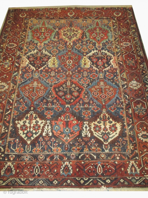 
Baktiar Persian, knotted circa 1930, semi antique, 276 x 349 cm, carpet ID: P-4224
Minor places to be knotted, in good condition.            