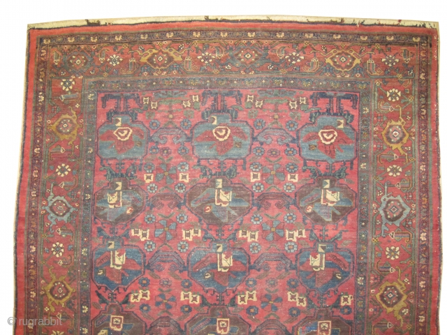 	

Bidjar Halvai Persian knotted circa in 1905 antique, collector's item, 206 x 145 (cm) 6' 9" x 4' 9"  carpet ID: K-57
The knots are hand spun lamb wool, fine knotted, the  ...