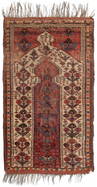 Beshir prayer Turkmen, knotted circa in 1790, antique, collectors item, 106 x 178cm,  carpet ID: NO-999
The knots, the warp and the weft threads are mixed with hand spun wool and goat  ...