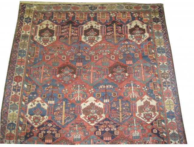 
Baktiar Persian knotted circa in 1915 antique, 283 x 216 (cm) 9' 3" x 7' 1"  carpet ID: P-5960
The knots are hand spun wool, allover geometric design, high pile in perfect  ...