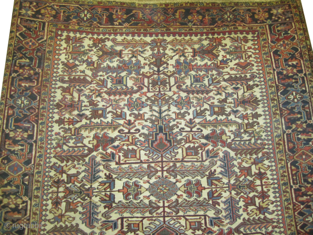 Bakshaish Heriz Persian, knotted circa 1920, antique, collector's item, 228 x 306 cm, ID: P-4653
Vegetable dyes, the black knots are oxidized, the knots are hand spun lamb wool, all over symmetrical design,  ...