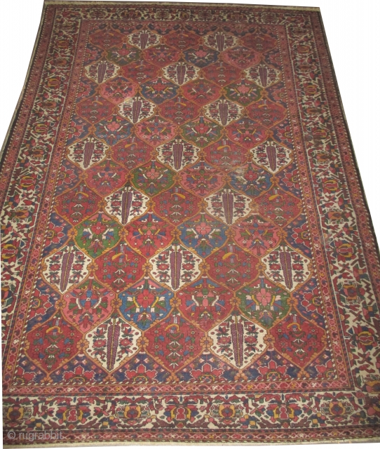 


 	

Baktiar Persian knotted circa in 1922 antique, 312 x 215 (cm) 10' 3" x 7' 1"  carpet ID: P-4902
Garden design.           