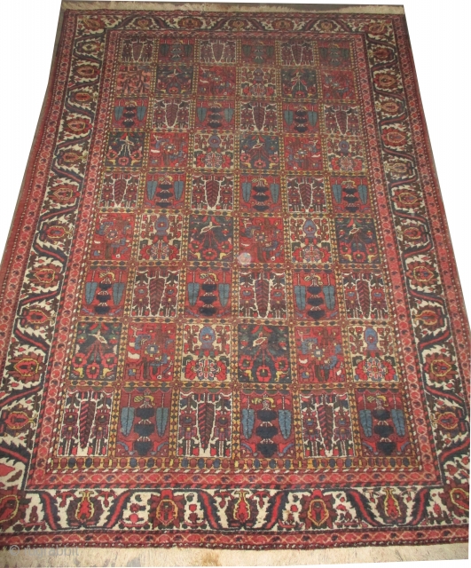 


 	

Baktiar Persian knotted circa in 1928 antique,  306 x 218 (cm) 10'  x 7' 2"  carpet ID: P-4993
The knots are hand spun wool, the black knots are oxidized,  ...