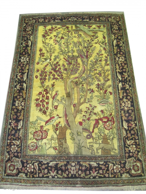 
Kirmanshah Persian knotted circa in 1918 antique, collector's item, 214 x 139 (cm) 7'  x 4' 7"  carpet ID: K-636
The knots are hand spun lamb wool, the background is soft  ...