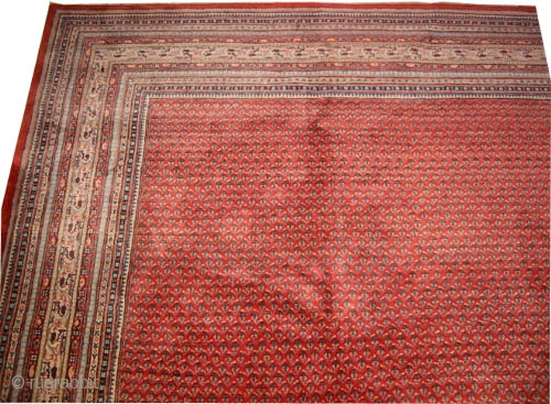 
	

Sarouk-Mir Persian knotted circa in 1940 semi antique,  450 x 365 (cm) 14' 9" x 12' 
 carpet ID: P-5866
Very thick pile in perfect condition, all over Mirabota design, the knots  ...