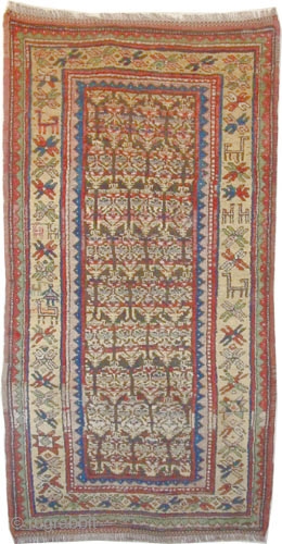 
Gutschan Kurd Persian knotted circa in 1918 antique, collector's item, 190 x 98 (cm) 6' 3" x 3' 3"  carpet ID: E-341
The black knots are oxidized. The knots, the warp and  ...