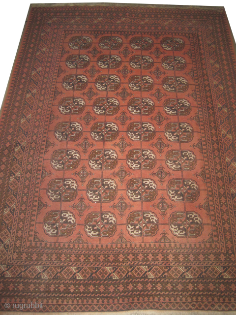 
Afghan Maweri, semi antique, 203 x 279 cm, ID: CHT-4
The knots are hand spun wool, all over Boukhara design, the background color is salmon, certain places the pile is slightly short, the  ...