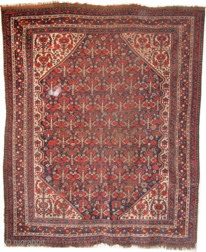 	

Shiraz Khamse, circa 1890, antique. collector's item, Size: 190 x 162 (cm) 6' 3" x 5' 4" carpet ID: K-4616
 vegetable dyes, part of the center pile is used, and the rest  ...
