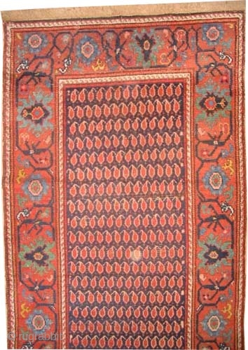 	

Malaier Persian circa 1900, antique, Size: 312 x 105 (cm) 10' 3" x 3' 5"  carpet ID: K-2817 
vegetable dyes, the black color is oxidized, the knots are hand spun wool,  ...