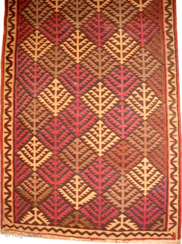 

Bidjar kilim Persian, woven circa 1890 antique, collectors item, 118 x 288 cm, ID: A-985
Vegetable dyes, woven with hand spun wool, all over tree of life design, in acceptable condition.

   
