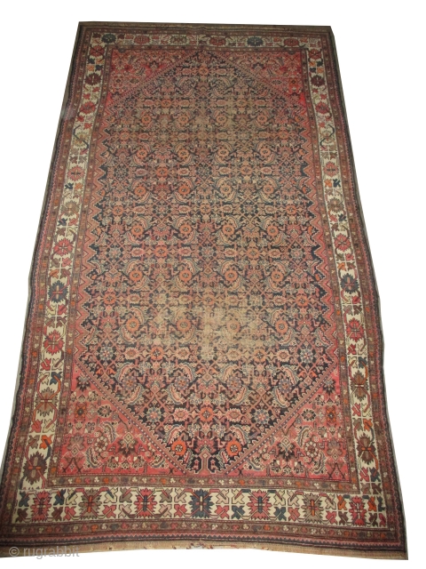 

Malaier Persian knotted circa in 1895 antique, collector's item, 294 x 161 (cm) 9' 8" x 5' 3"  carpet ID: K-5241
The black knots are oxidized, the knots are hand spun wool,  ...
