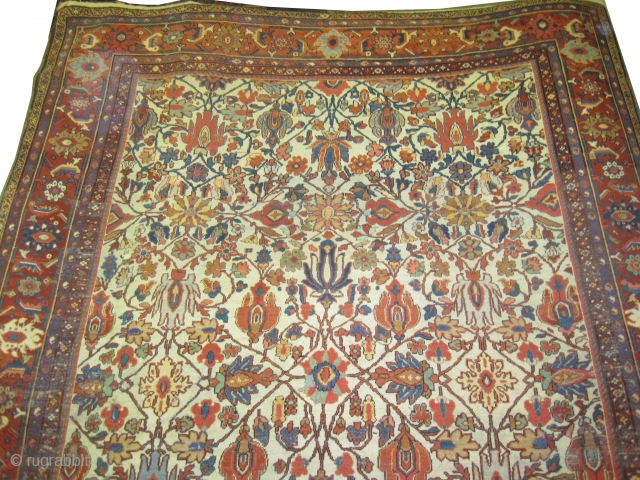 
Ziegler-Mahal Persian circa 1905. Antique. Size: 390 x 270 (cm) 12' 9" x 8' 10"  carpet ID: P-5201 
vegetable dyes, the black color is oxidized, the knots are hand spun wool,  ...