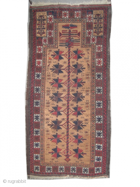 	
 Belutch prayer Persian circa 1895 antique. Collector's item, Size: 150 x 74 (cm) 4' 11" x 2' 5"  carpet ID: K-4271
vegetable dyes, the black color is oxidized, the knots are  ...