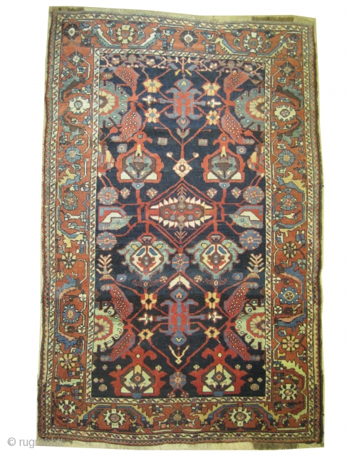 
 Baktiar Louri Persian circa 1905 antique, collector's item, Size: 212 x 137 (cm) 6' 11" x 4' 6"  carpet ID: K-4358
vegetable dyes, the black color is oxidized, the warp and  ...