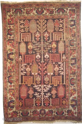 Baktiar Persian circa 1895 antique.  Size: 205 x 136 (cm) 6' 9" x 4' 6"  carpet ID: K-4397
Vegetable dyes, the black color is oxidized, the knots are hand spun lamb  ...