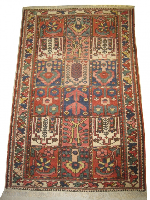 
Baktiar Persian circa 1915 antique, collector's item, Size: 210 x 134 (cm) 6' 11" x 4' 5"  carpet ID: BRD-8
vegetable dyes, the black color is oxidized, the knots are hand spun  ...