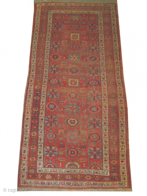 


Bidjar Halvai Persian knotted circa 1875 antique, collectors item, 247 x 118 cm 
 carpet ID: K-5605
The brown color is oxidized, the knots are hand spun wool, the warp and the weft  ...