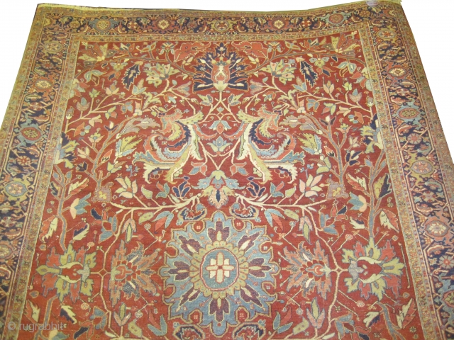  Heriz Persian circa 1895 antique.  Size: 362 x 265 (cm) 11' 10" x 8' 8"  carpet ID: P-6123 
Vegetable dyes, the black color is oxidized, the knots are hand  ...