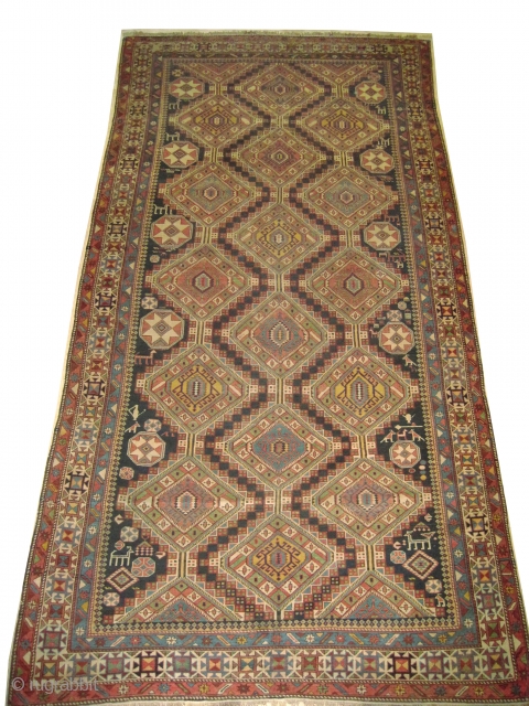 Shirvan Caucasian knotted circa in 1915 antique. . 341 x 172 (cm) 11' 2" x 5' 8"  carpet ID: V-28 
In perfect condition, high pile, the black color is oxidized, the  ...