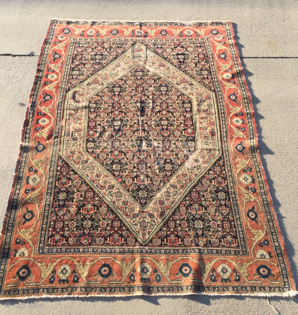 Fine old Antique Persian Senneh Rug, circa 1900-1910 from an old Armenian family in La Jolla. Measures 70" x 50". Obvious wear, losses to ends, some obvious OLD repairs.

Still a beautiful old  ...