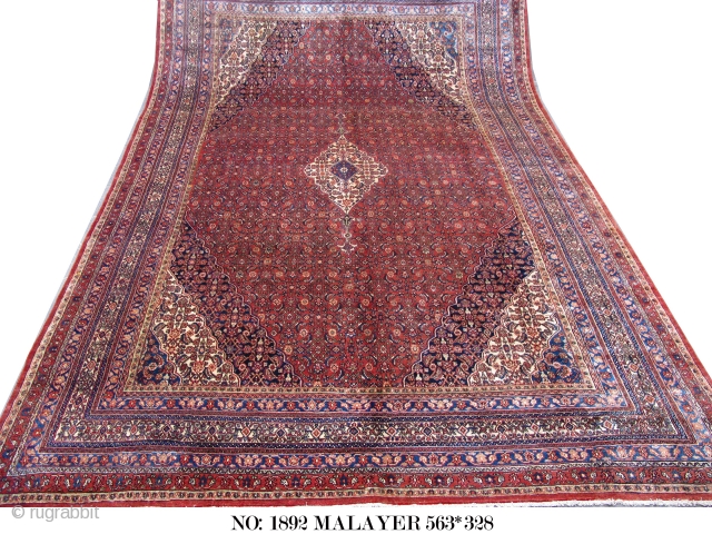 Rug# 1892, Early 20th C. Malayer, Circa 1910, Hand-knotted oversize carpet, custom made for a Khaan home in Bibikabad village, Symmetrical knots with 100% hand-spun local-wool, Nth-West Persia, this rug is unique  ...
