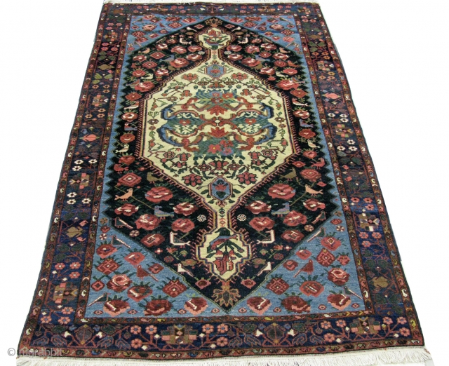 Persian Kurdi, circa 1910, 100% hand spun wool pile, natural vegetable dyes, typical Seneh weave possibly from Mishen Malayer. This rug is in excellent condition for its age. Size: 245x167 cm  