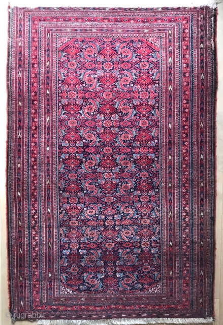 Description and origin: small-format carpet from Beshir type, with an unusual and attractive pattern. Very dense field with Herati and lancet leaves or Mahi patterns. Multiple narrow borders with various ornaments.

Condition: overall  ...